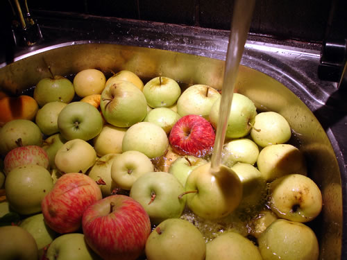 apples getting a soak