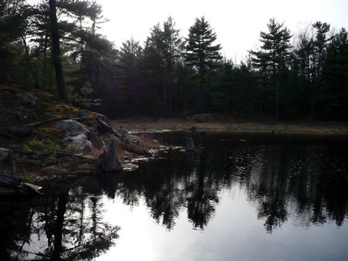 cottage pond