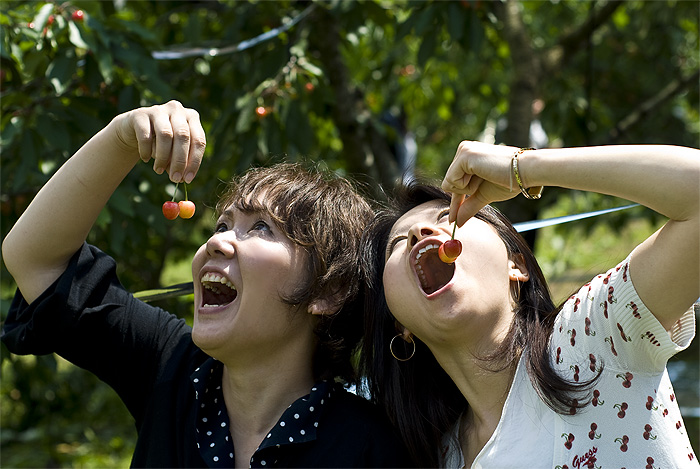 cherry picking kumi junko