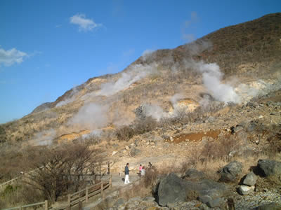 hakone mt. fuji