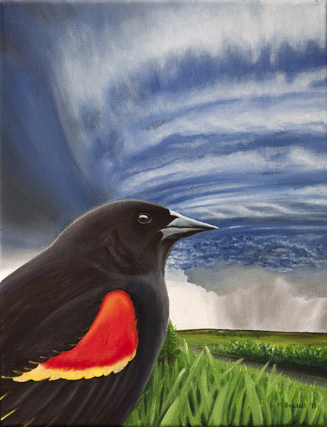 red wing blackbird hurricane painting