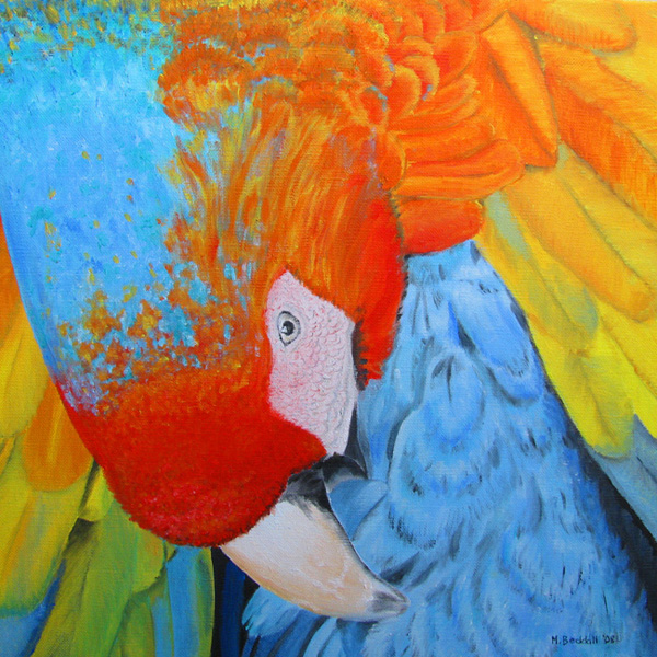 parrot colour close painting