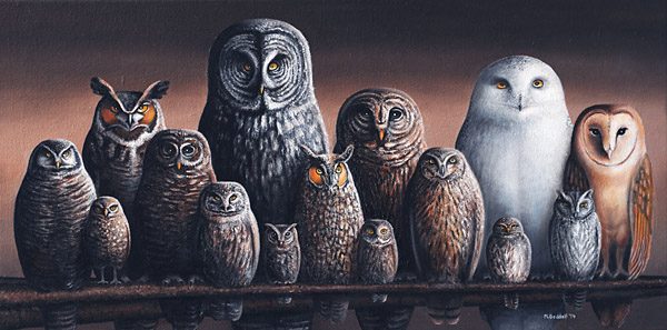 painting owls of canada