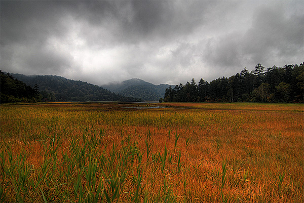 oze national park marsh fall autumn japan