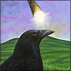 crow raven meteor