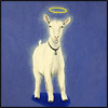 goat saint halo
