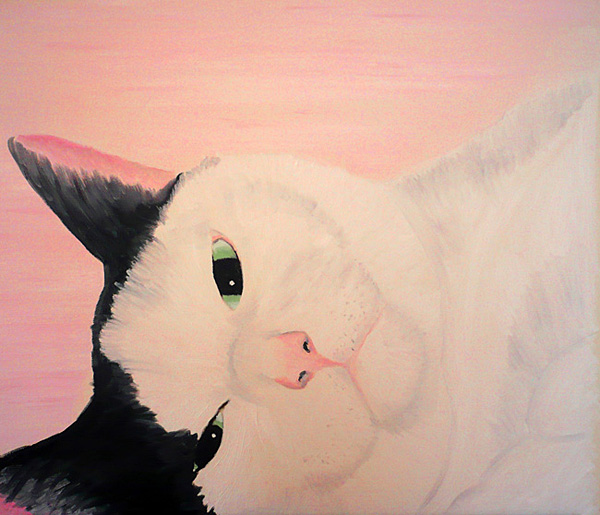 rhubarb cat