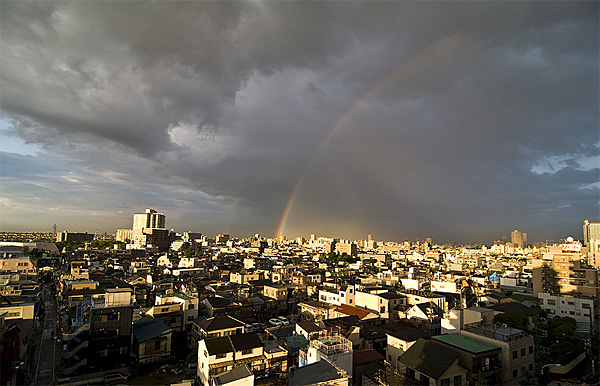 tokyo rainbow