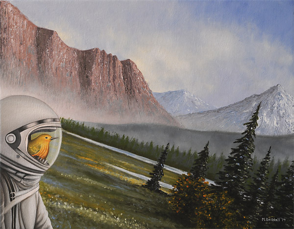 bird astronaut mountains lake warbler