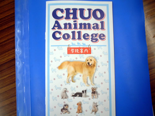 chuo animal college