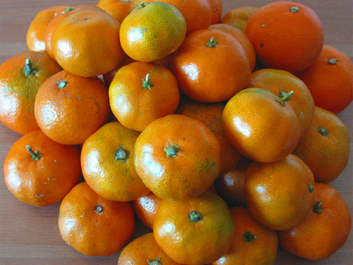 mikan oranges at home in a pile