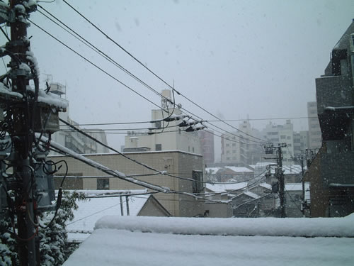 tokyo snow