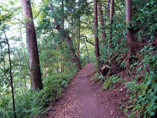 takao hiking trail