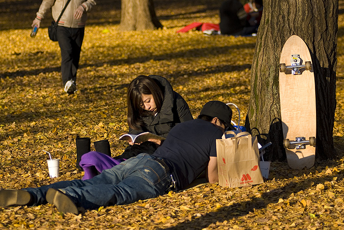yoyogi park autumn resting couple